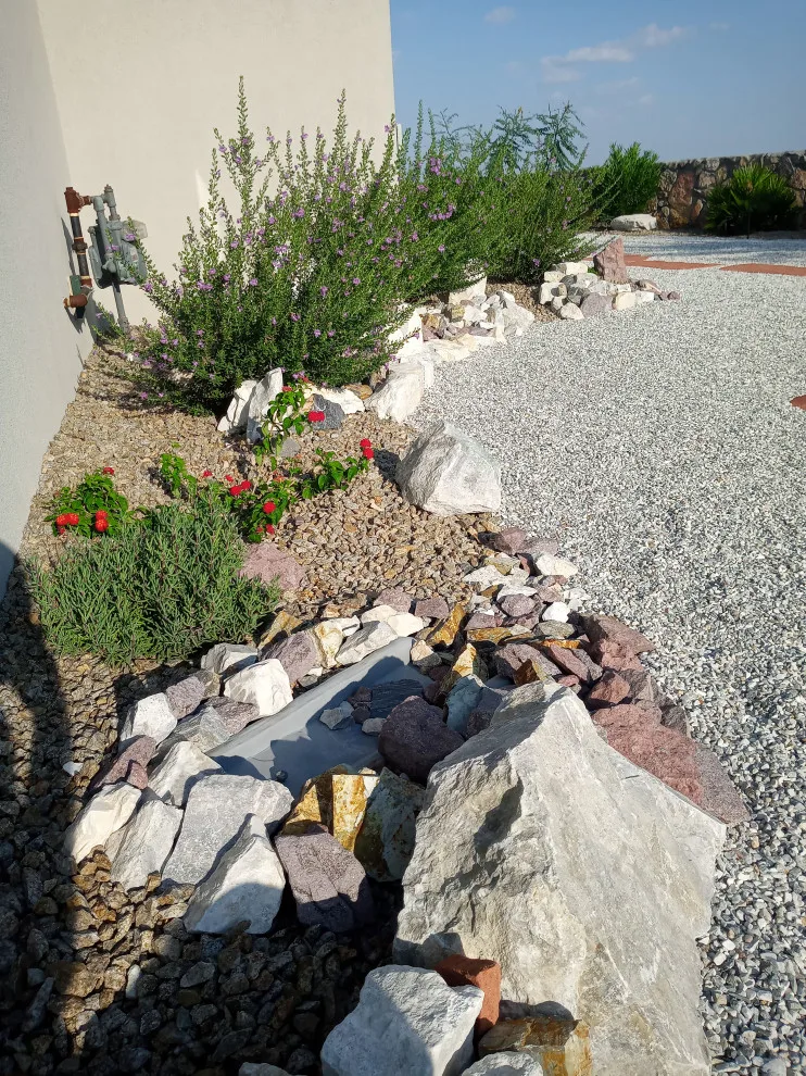 Full Setup by Desert Siren Landscape Design, LLC - Photo 4