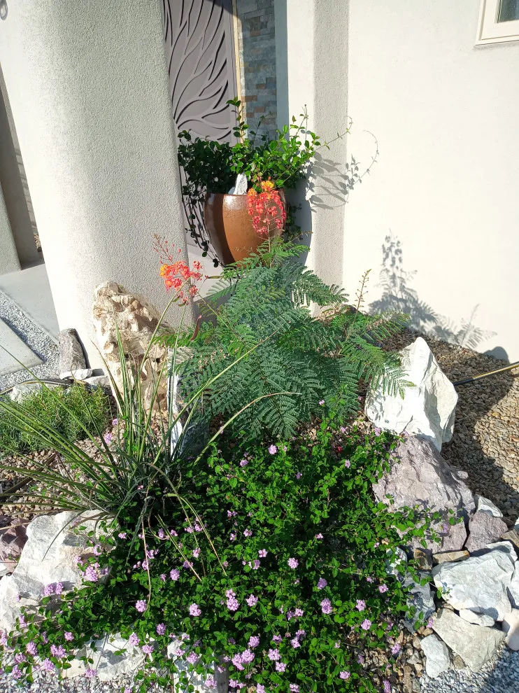 Desert Siren Landscape Design, LLC - Photo 11