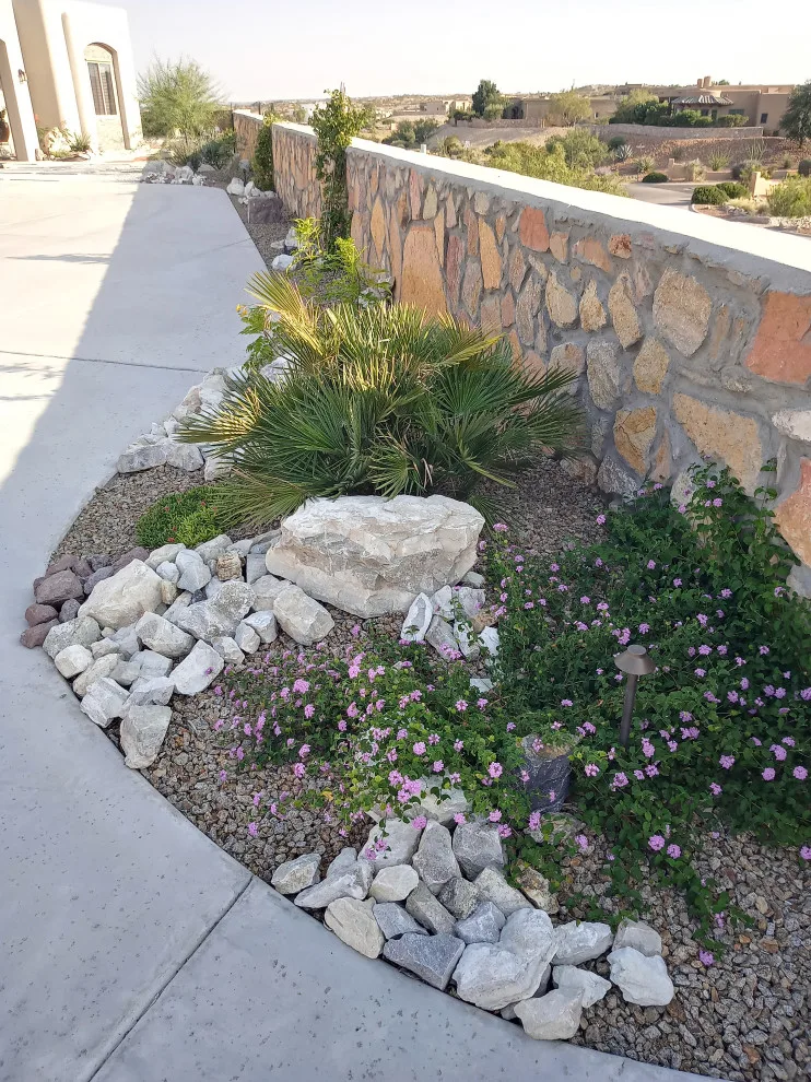 Desert Siren Landscape Design, LLC - Photo 8