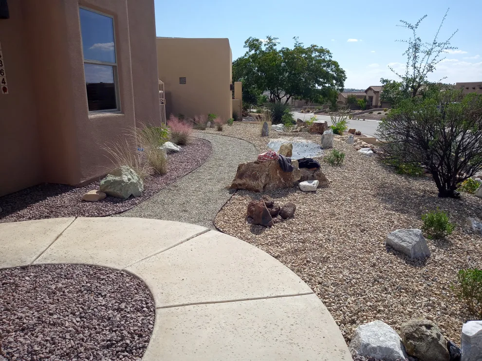 Desert Siren Landscape Design, LLC - Photo 7