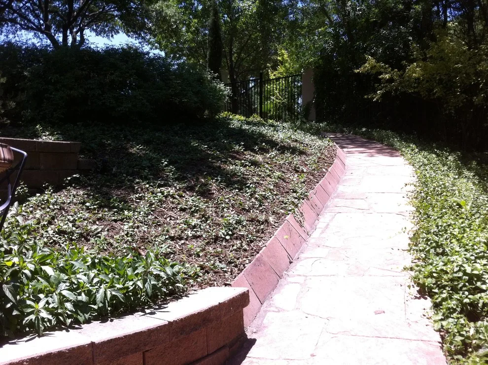 Concho River Residence by Farmer's Daughter Landscape - Photo 7