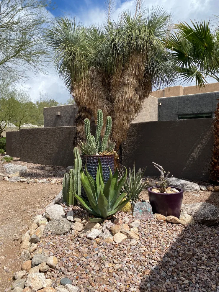 Green Side Planting Design And Maintenance - Photo 9