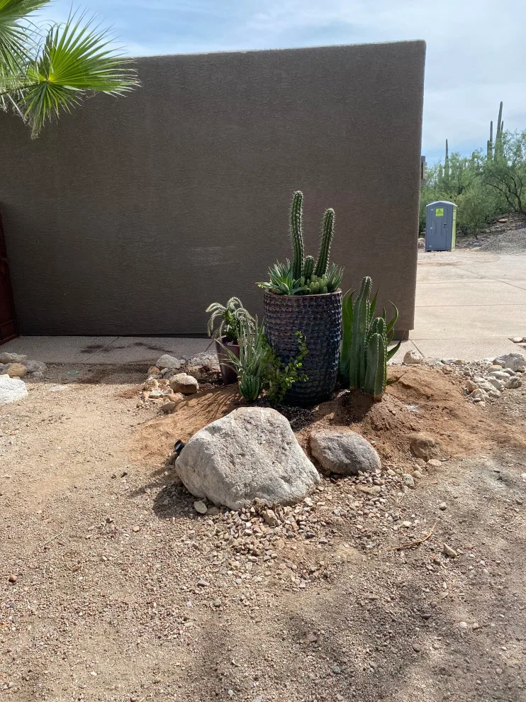 Green Side Planting Design And Maintenance - Photo 6