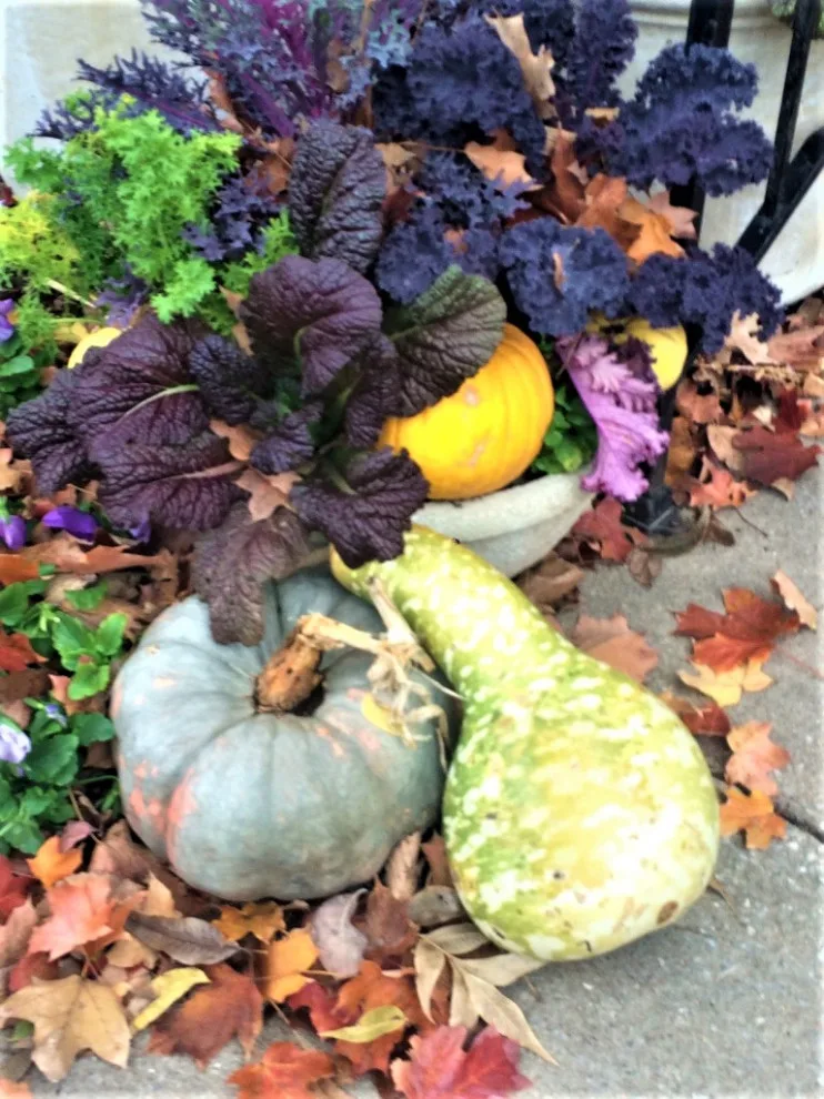 Seasonal Container Gardening: Fall and Winter by Colonial Hills - Photo 4