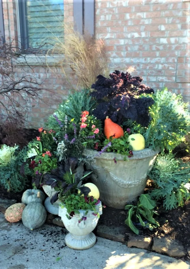 Seasonal Container Gardening: Fall and Winter by Colonial Hills - Photo 2