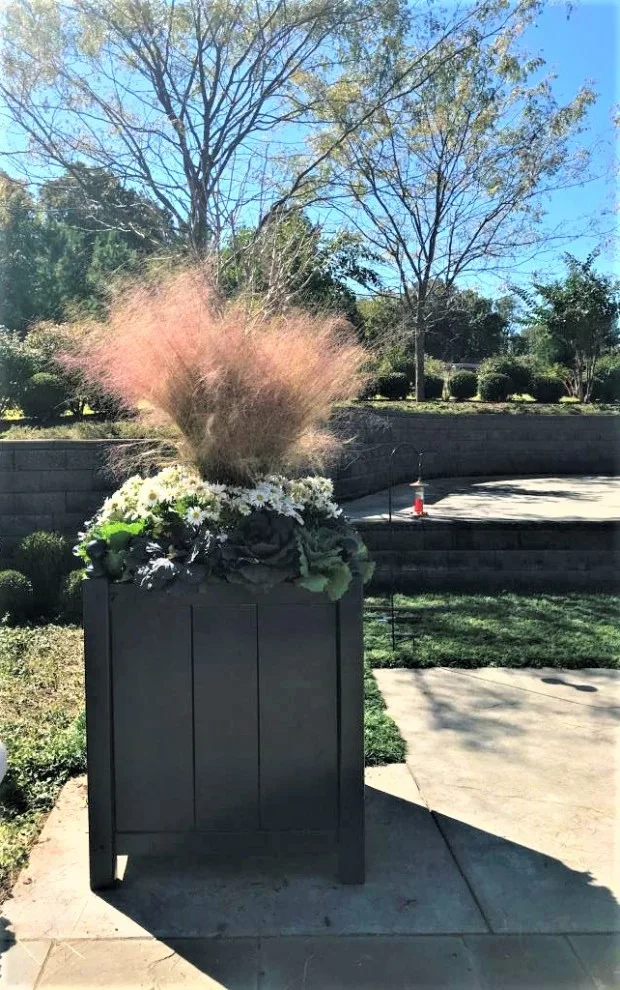 Seasonal Container Gardening: Fall and Winter by Colonial Hills - Photo 7