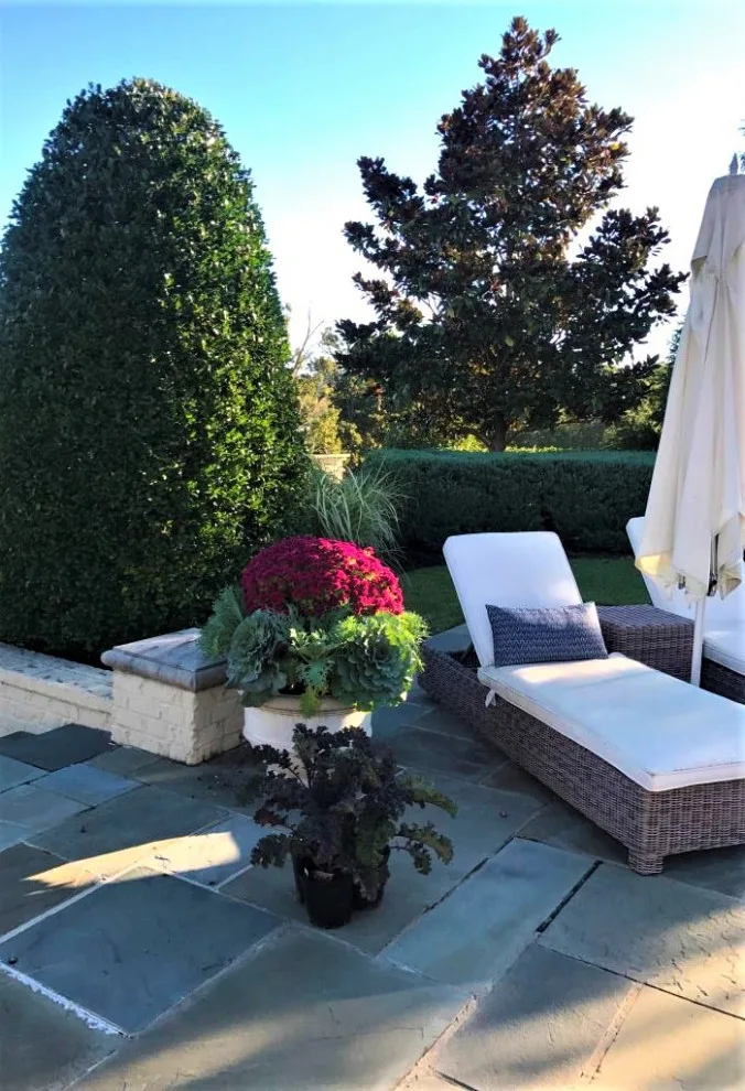 Seasonal Container Gardening: Fall and Winter by Colonial Hills - Photo 3