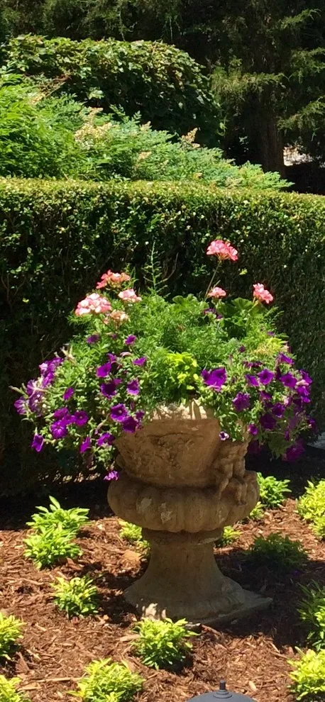 Colonial Hills - Photo 2