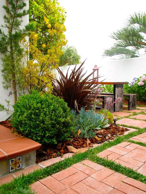 Modern Hacienda by Haven Home And Garden Design - Photo 4