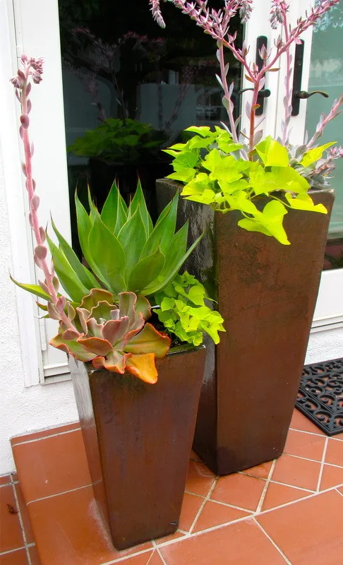 Haven Home And Garden Design - Photo 9