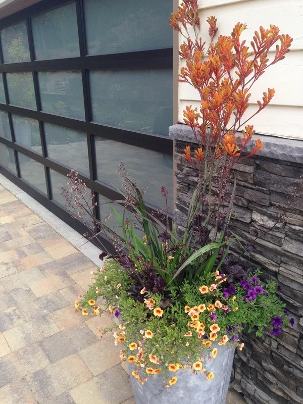 Modern Hilltop by Haven Home And Garden Design - Photo 3