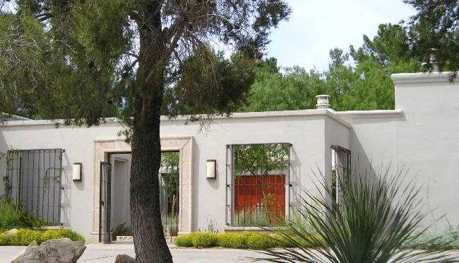 Quercus - Photo 7