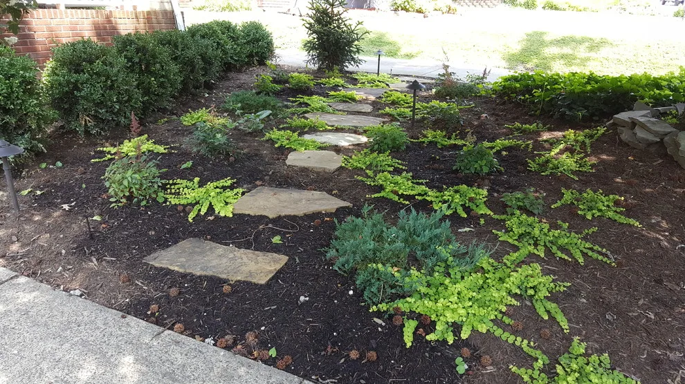 Artisan-Style Shade Walkway by Everman Designs, LLC - Photo 4