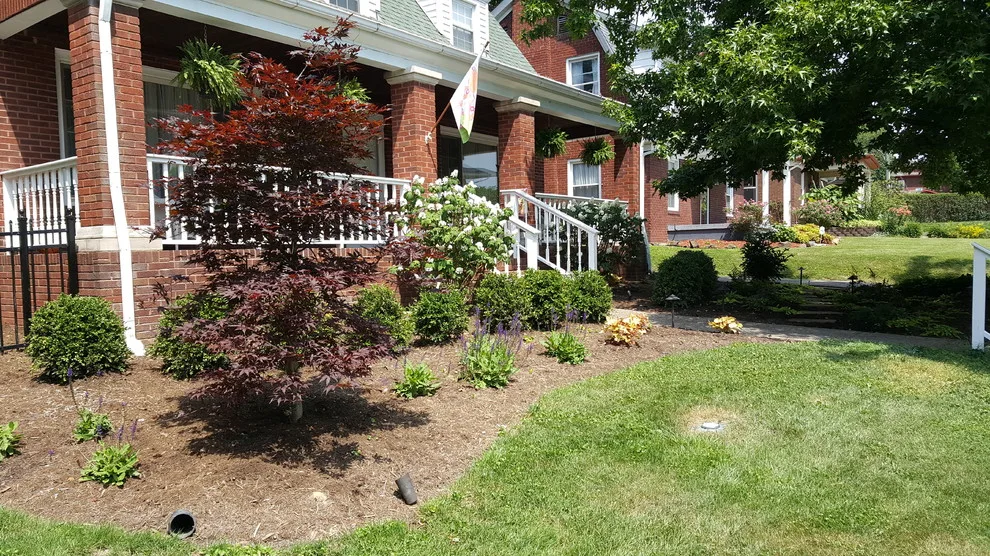 Artisan-Style Shade Walkway by Everman Designs, LLC - Photo 2