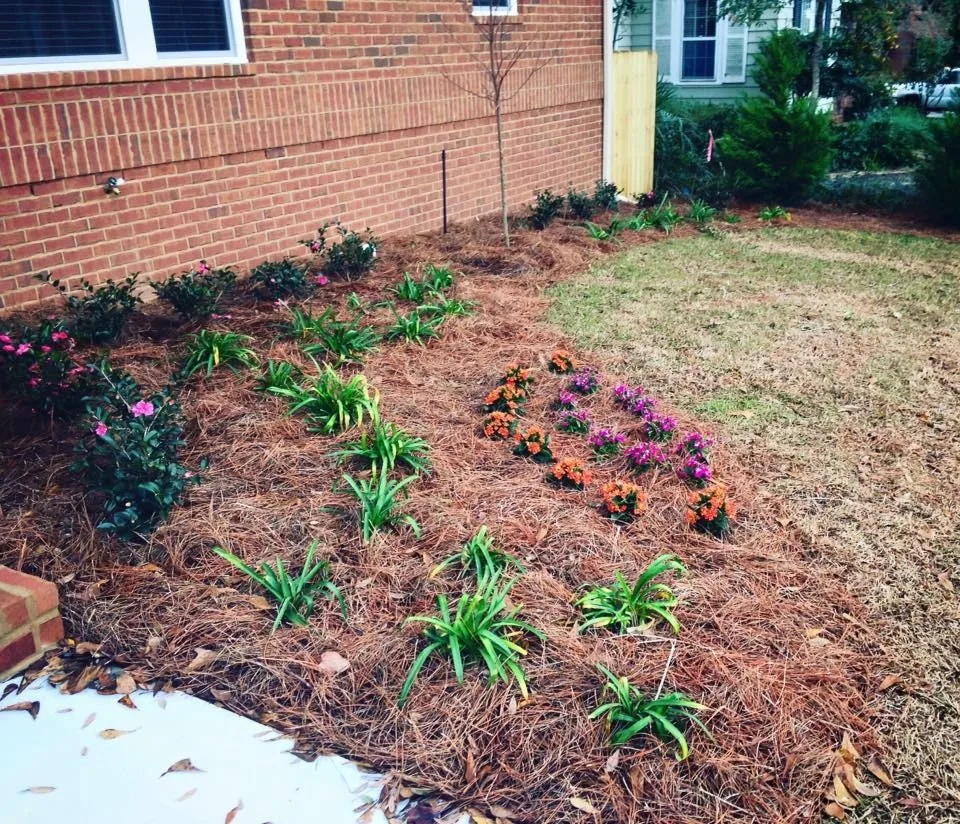 Setup by Firefly Landscape & Design LLC - Photo 11