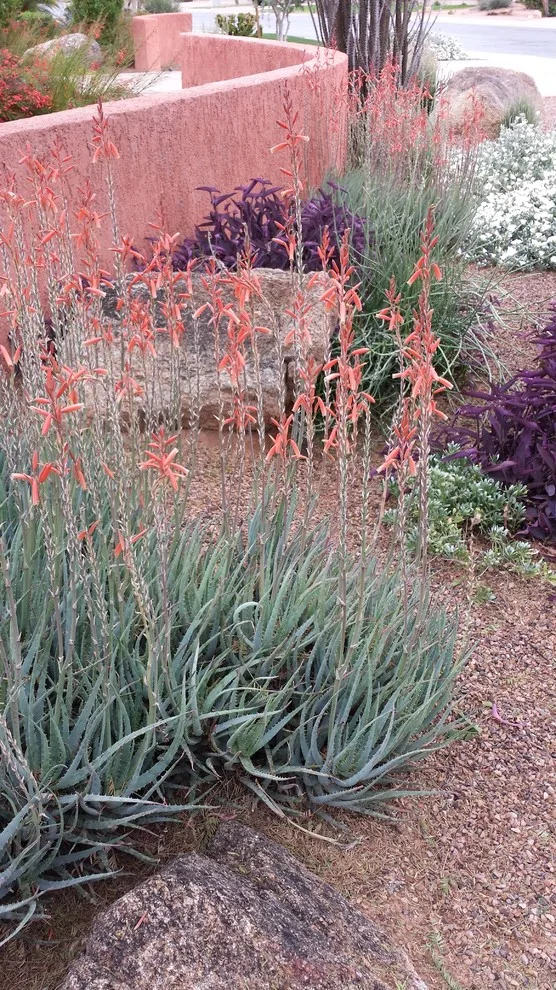 Exterior Charm by Living Rooms Landscape Design - Photo 8