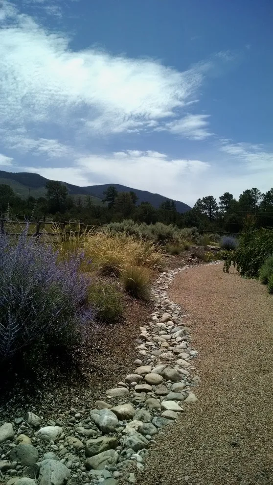 Water Management Solutions by Taos Landscaping - Photo 2