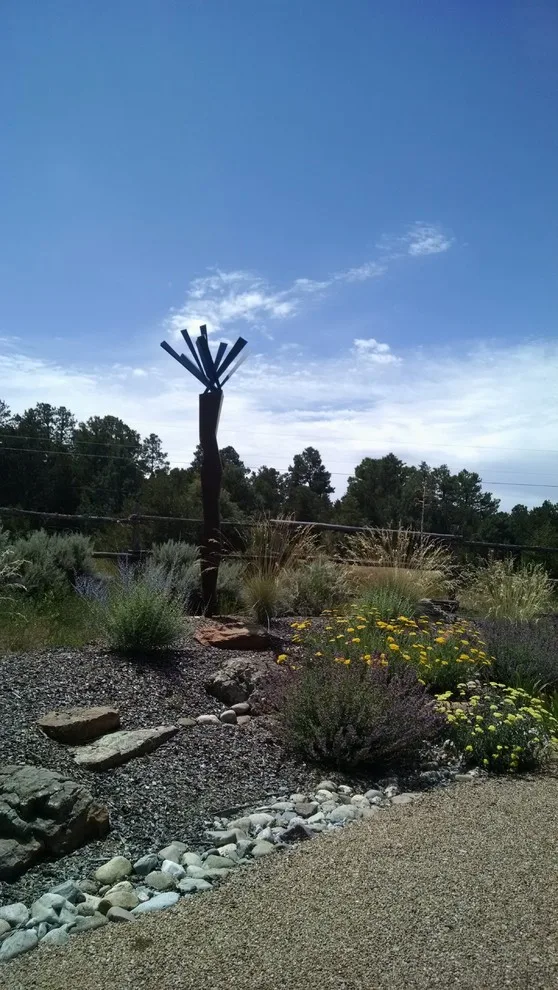 Water Management Solutions by Taos Landscaping - Photo 9