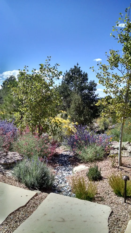 Water Management Solutions by Taos Landscaping - Photo 4