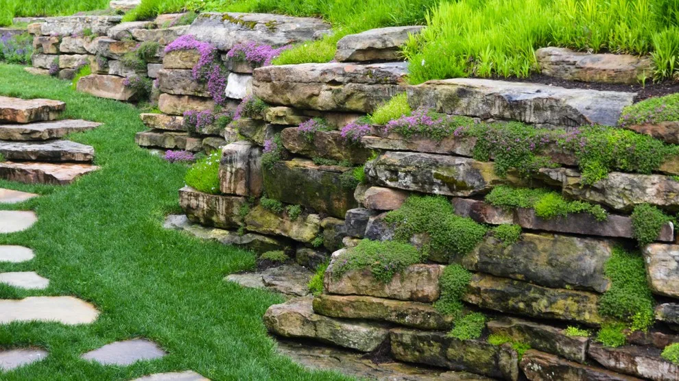 Paragon Landscape Inc - Photo 5