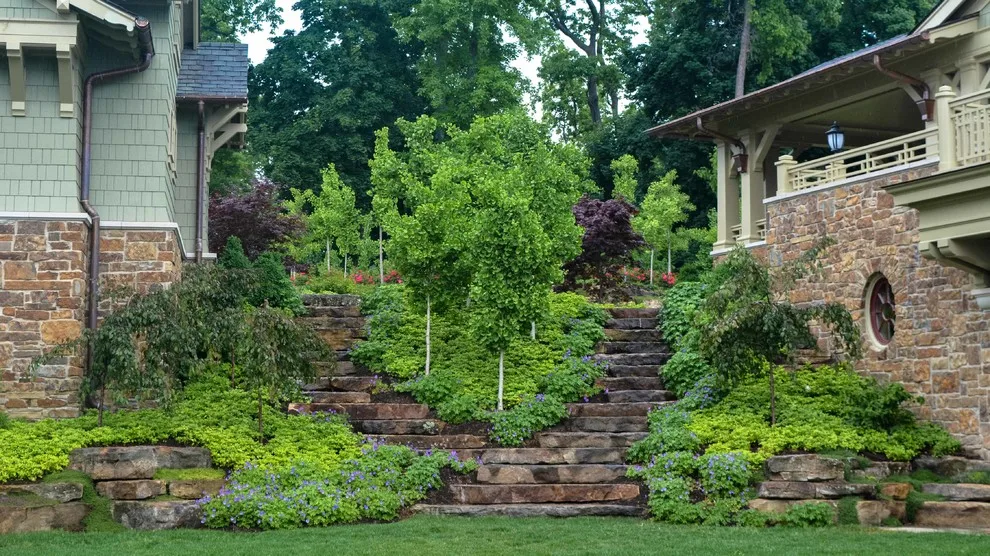 Paragon Landscape Inc - Photo 7