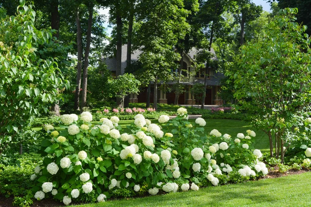 Paragon Landscape Inc - Photo 12