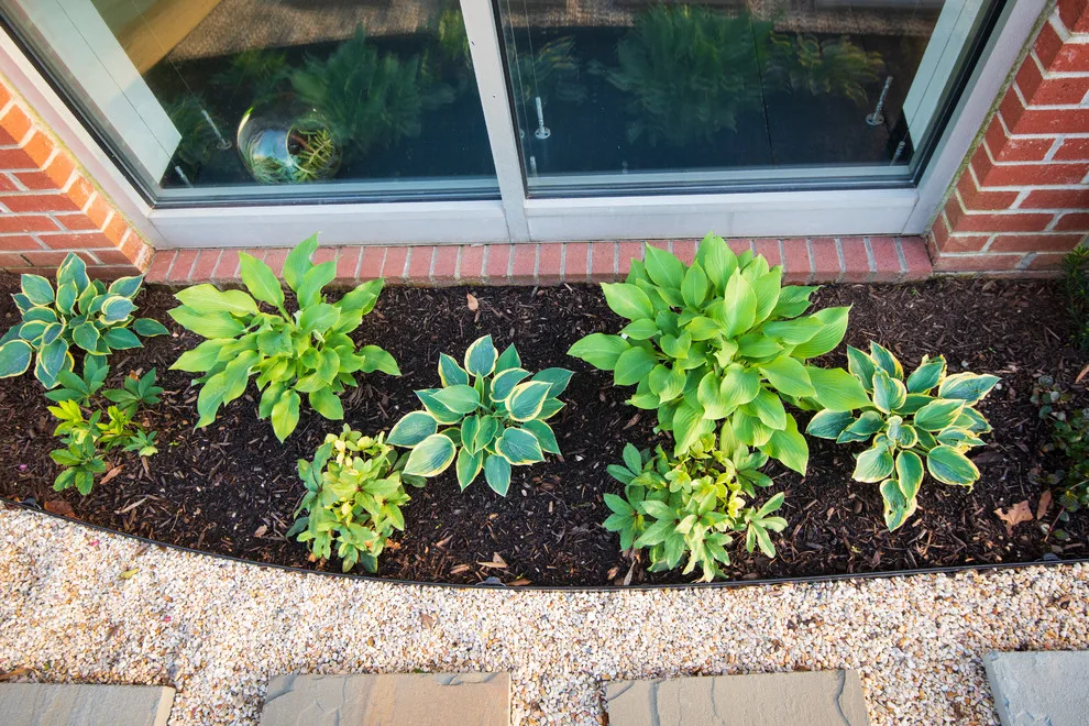 Diverse Vision by EScape Landscape Design - Photo 7