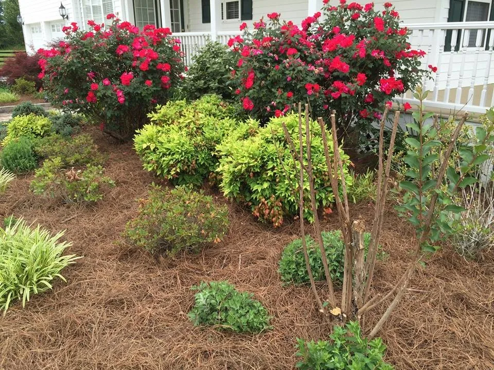 Garden Outdoor Design by Wadescapes - Photo 9