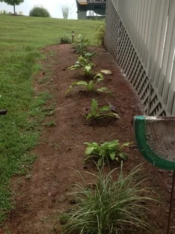 Garden Outdoor Design by Wadescapes - Photo 7