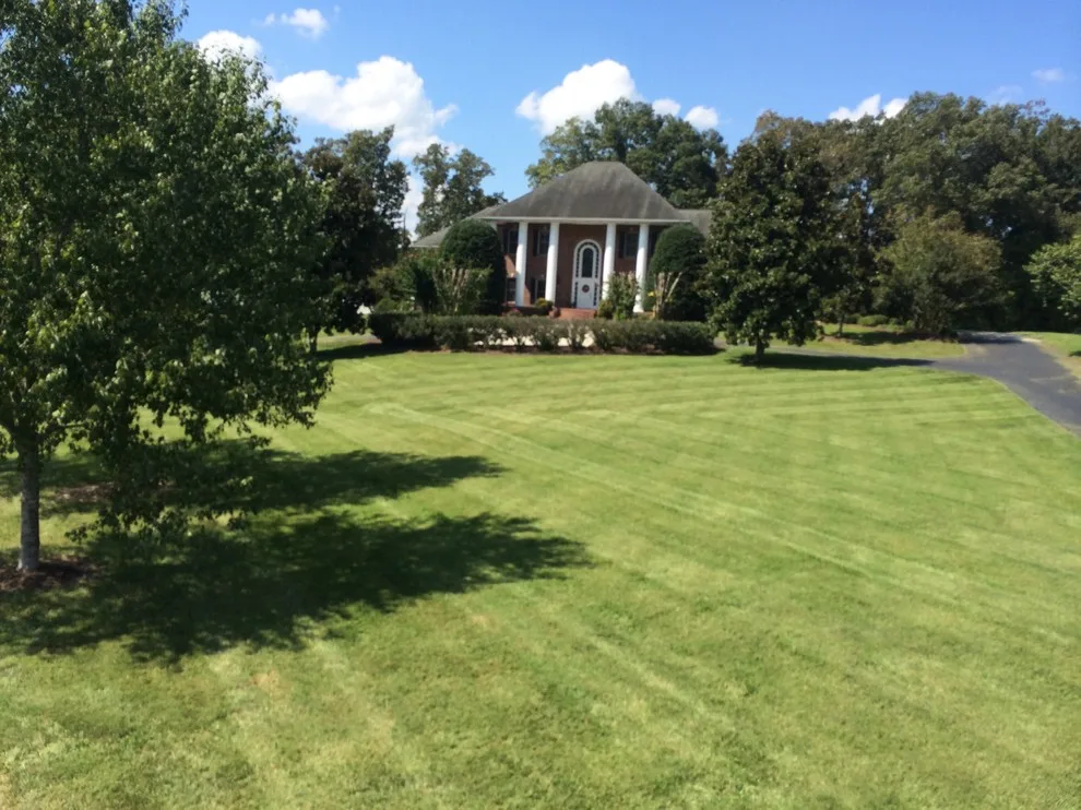 Garden Outdoor Design by Wadescapes - Photo 11