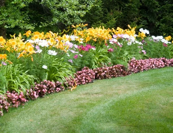 Elegant Garden and Property Care by Landscape Logic - Photo 7