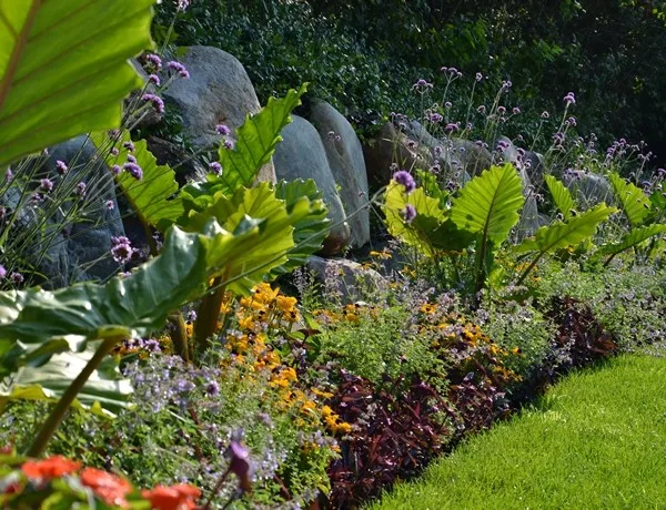 Elegant Garden and Property Care by Landscape Logic - Photo 4