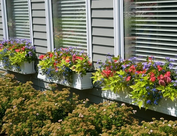 Elegant Garden and Property Care by Landscape Logic - Photo 6