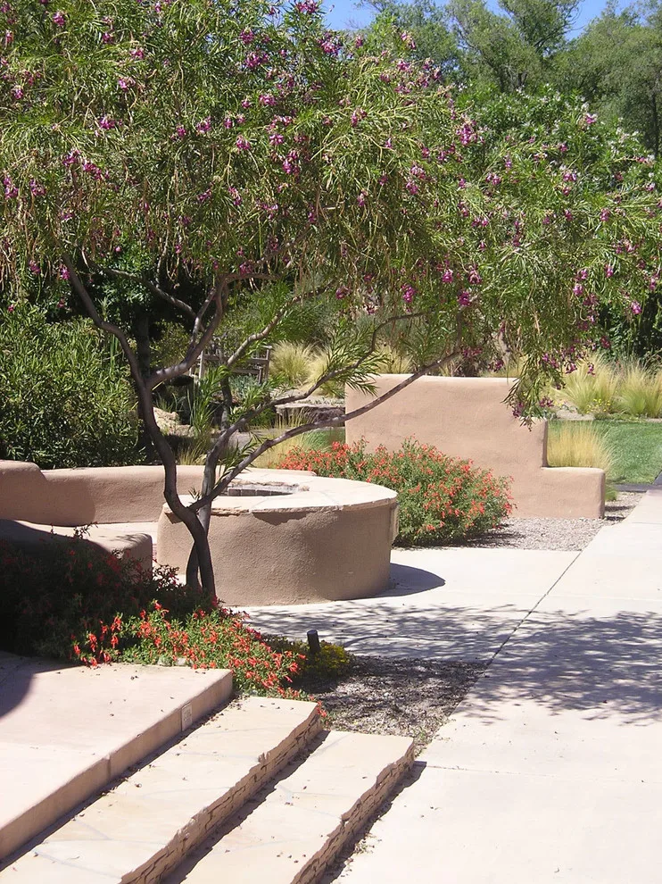 Quercus - Photo 14