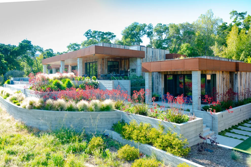 Home Landscaping by PLACE Landscape Architecture - Photo 5