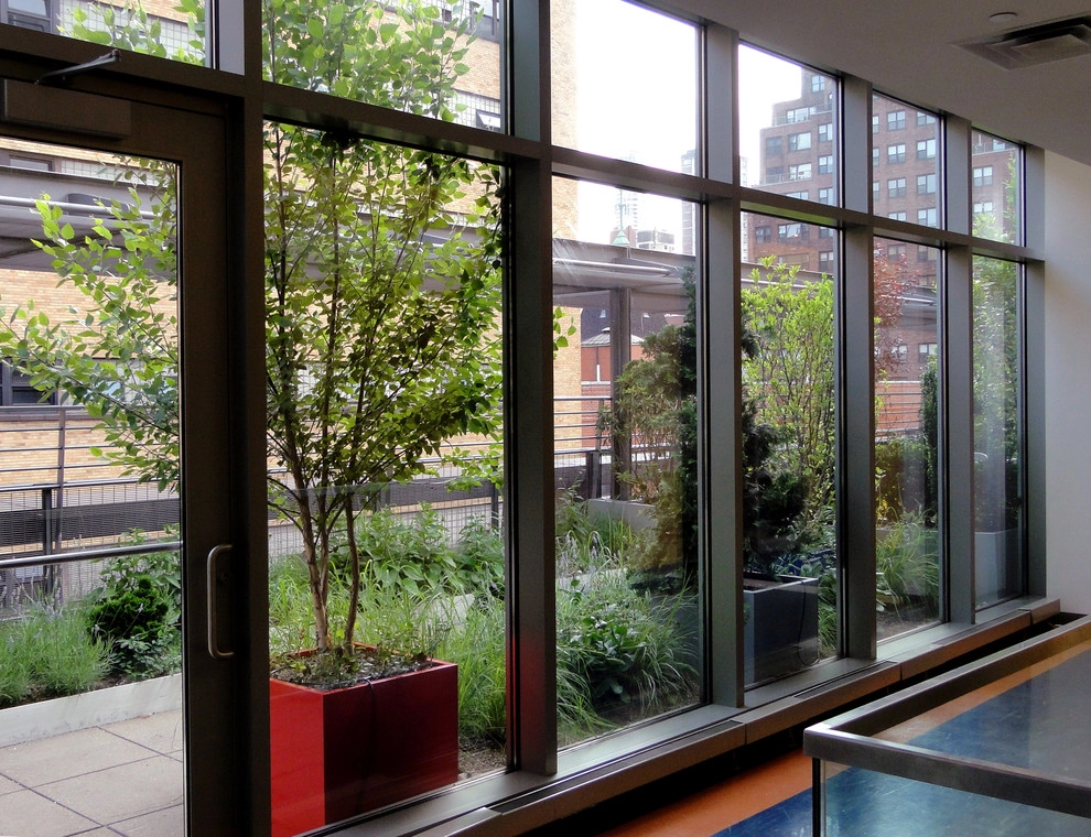 Lycee Francais by Christian Duvernois Landscape/Studio - Photo 5