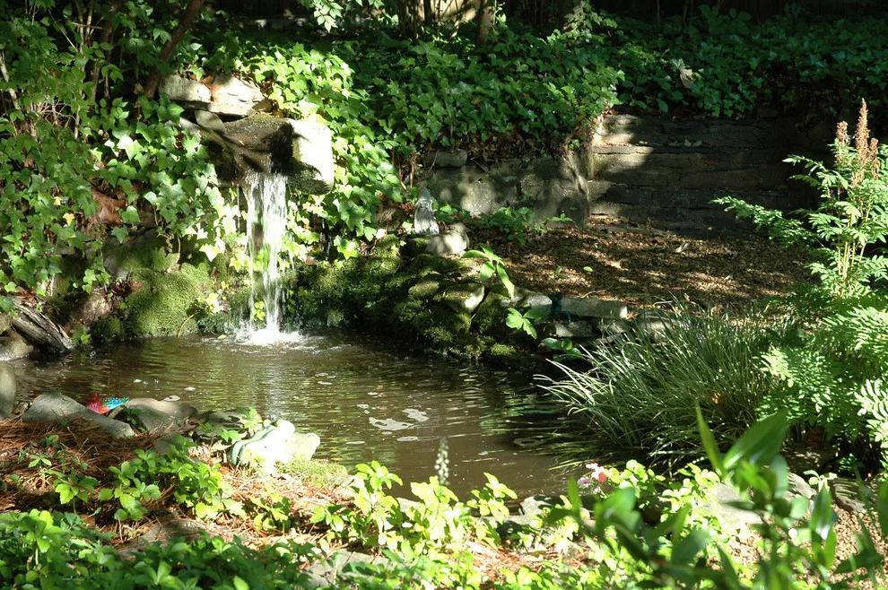 Garry Menendez Landscape Architecture - Photo 6