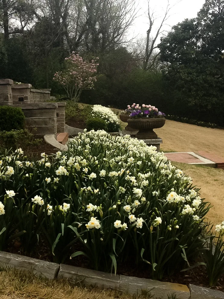 Nord Summit by Colonial Hills - Photo 7