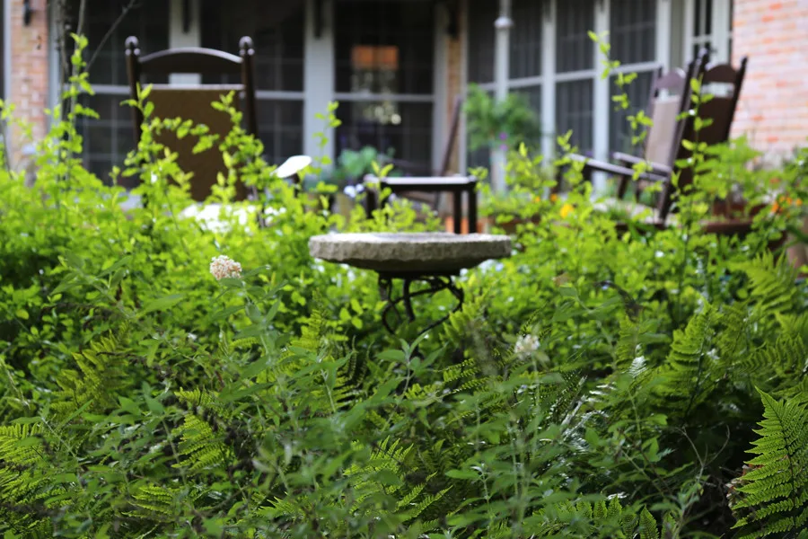 Garden Layout Planning by Graycheck Gardens, LLC - Photo 8