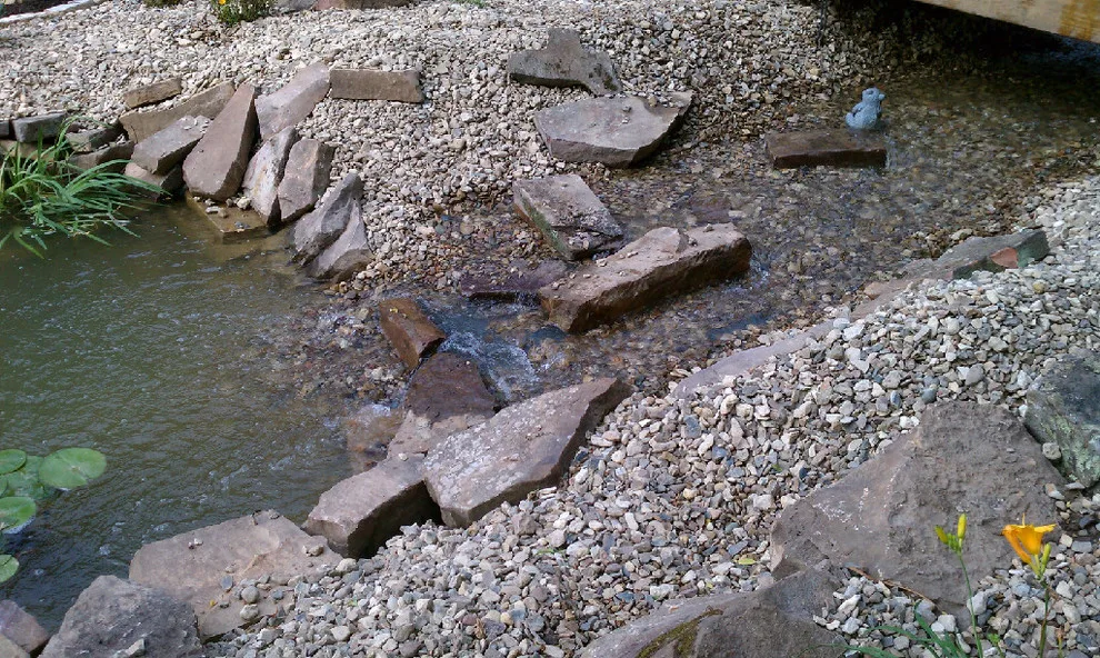 Comprehensive Lawn Solutions - Photo 11