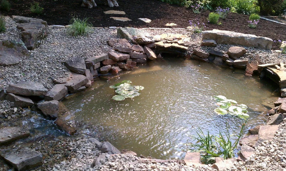 Comprehensive Lawn Solutions - Photo 4