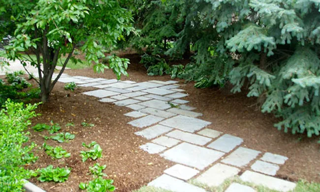 Vip Lawn & Landscape - Photo 2