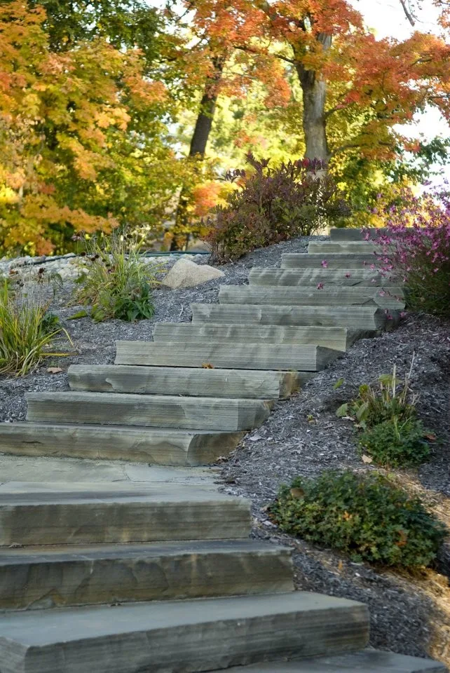 Exhibition by Rozelle Lawn & Landscape - Photo 9