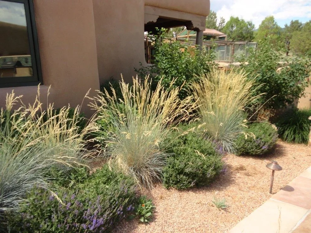 Exhibition by Taos Landscaping - Photo 5