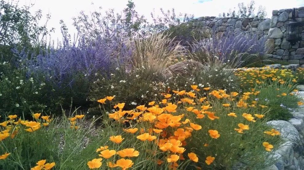 Exhibition by Taos Landscaping - Photo 11