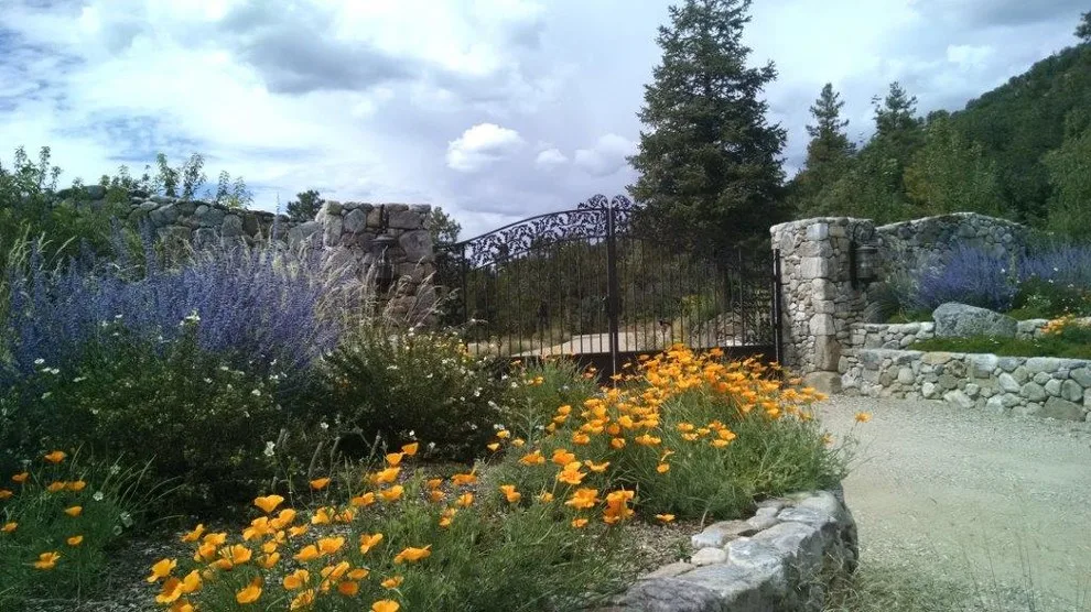 Exhibition by Taos Landscaping - Photo 9
