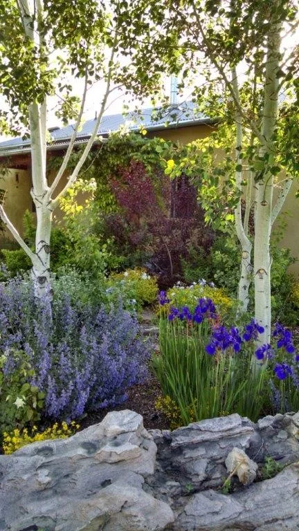 Exhibition by Taos Landscaping - Photo 2