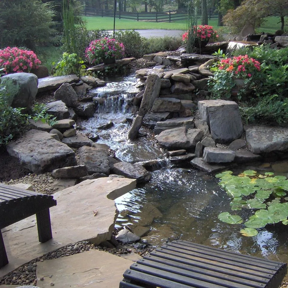Aquatic Elements by Brookhaven Designs - Photo 6