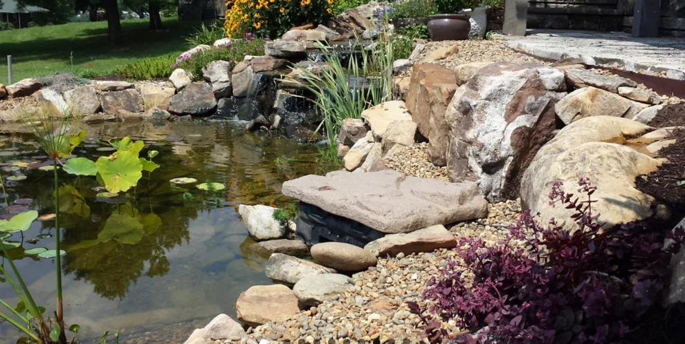 Aquatic Elements by Brookhaven Designs - Photo 8