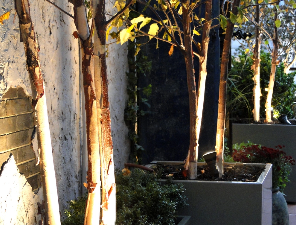 Christian Duvernois Landscape/Studio - Photo 8